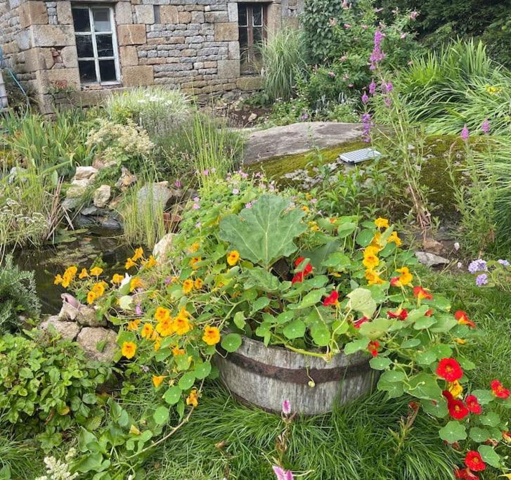 Le Petit Fleur - The Little Flower, Cosy Cottage Saint-Michel-de-Montjoie Exterior photo