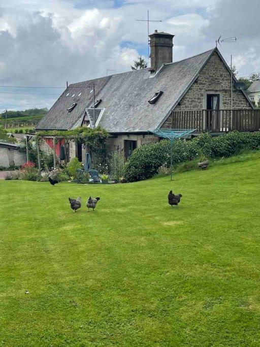 Le Petit Fleur - The Little Flower, Cosy Cottage Saint-Michel-de-Montjoie Exterior photo